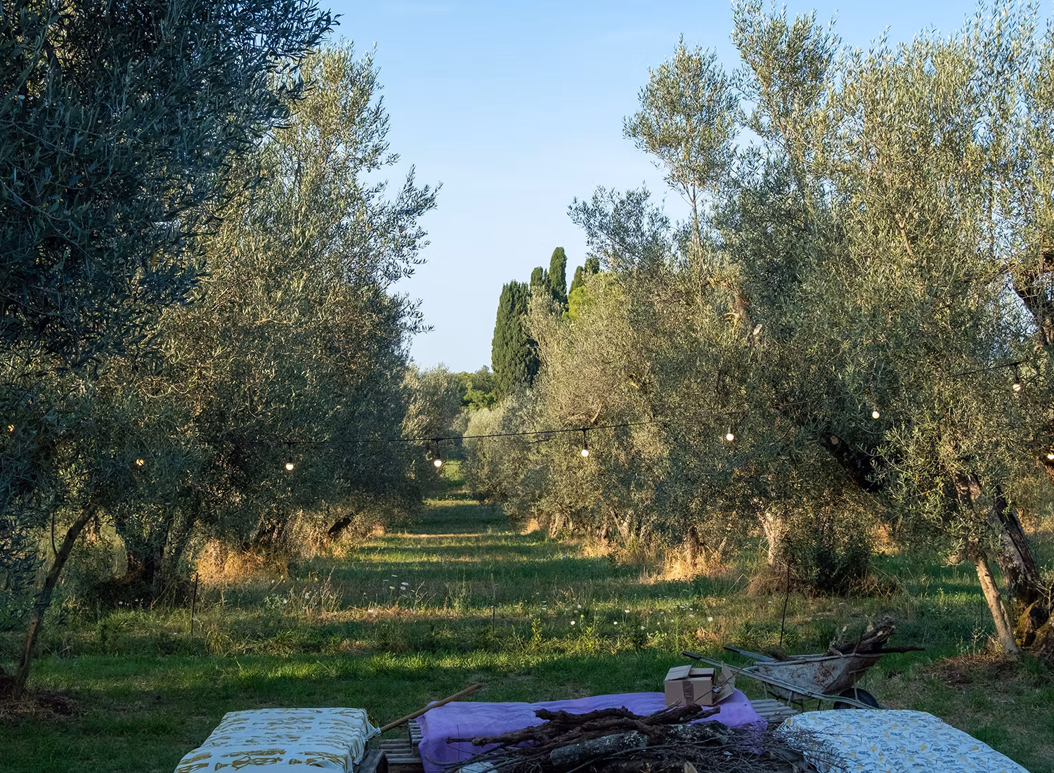 Falò a Casa YUVI