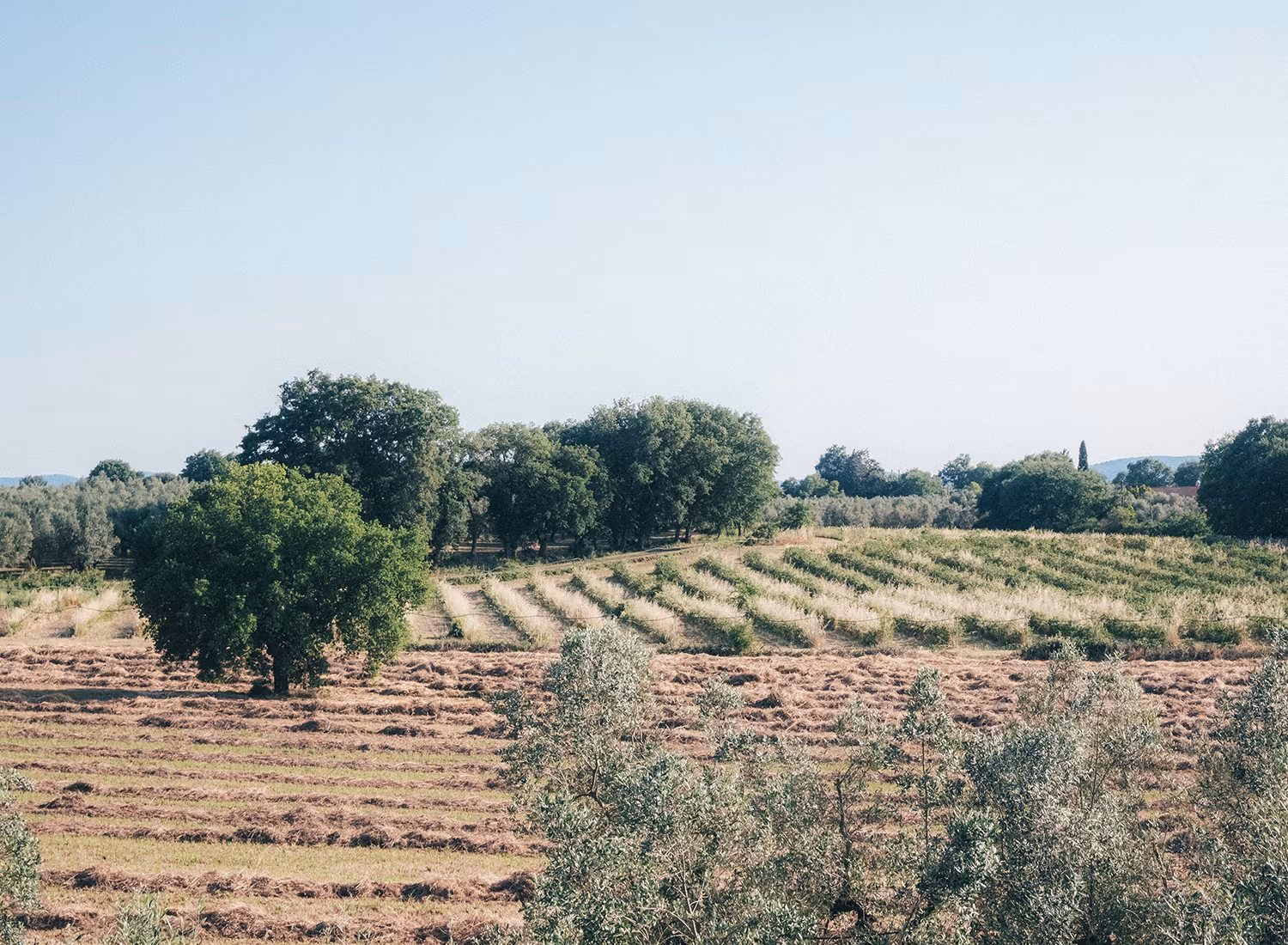 Traditional Italian farmhouse architecture at Casa YUVI with rustic stone walls