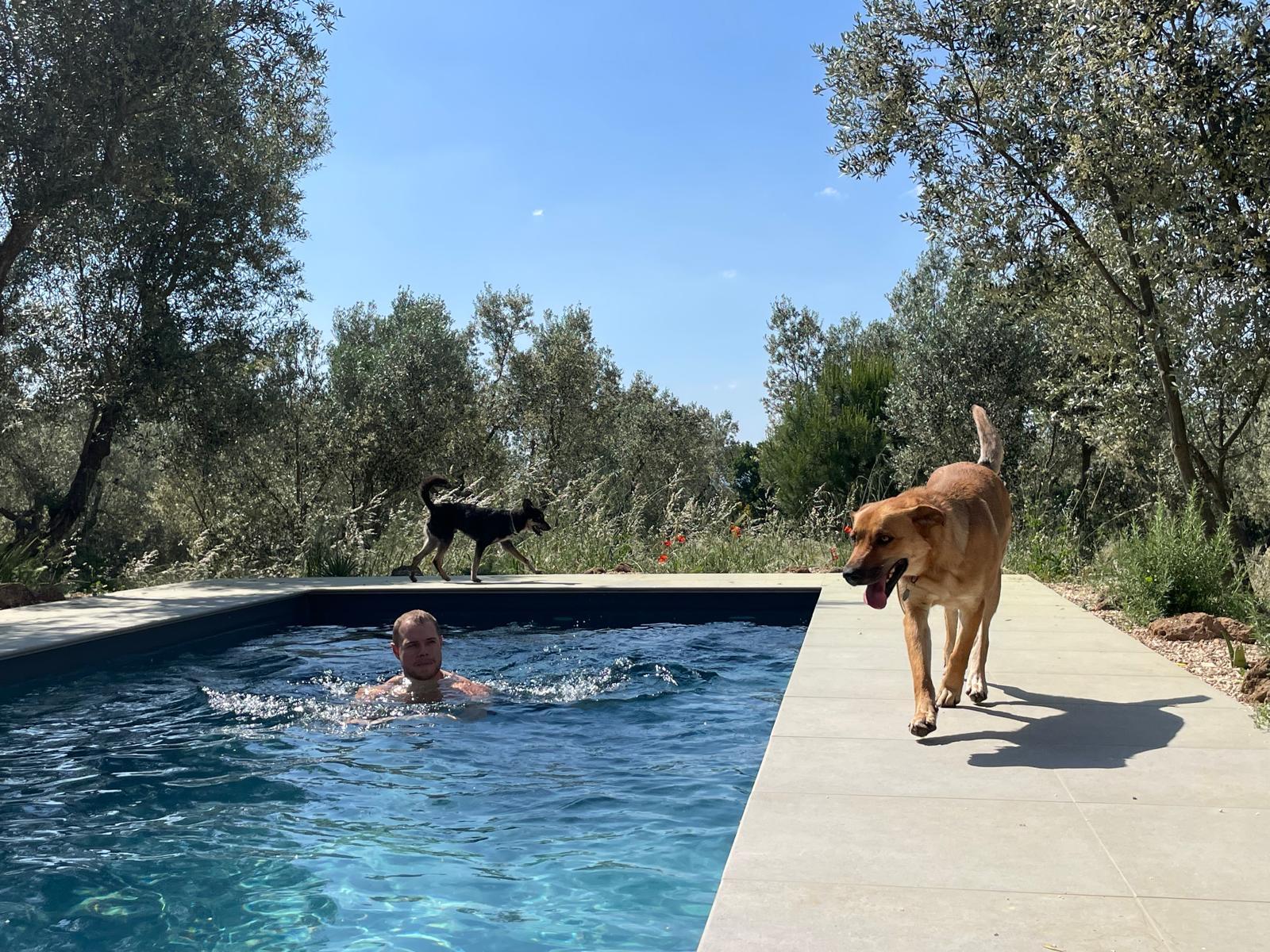 Seconda vista della piscina di Casa YUVI