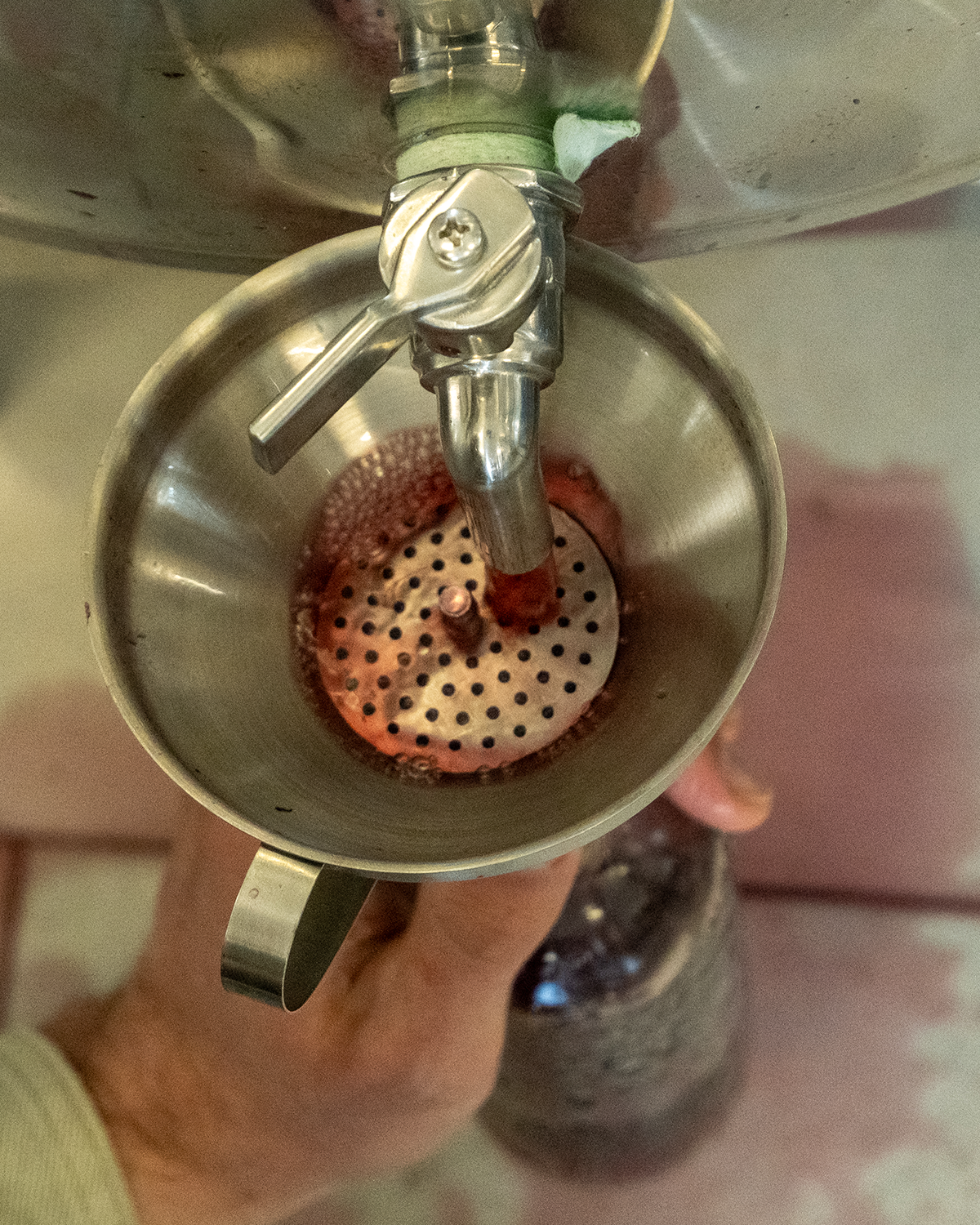 Bottling artisanal spirits at Casa YUVI