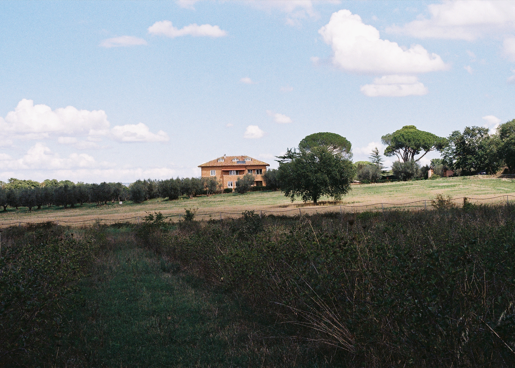 Vista panoramica del casale Casa YUVI attraverso i campi e gli uliveti