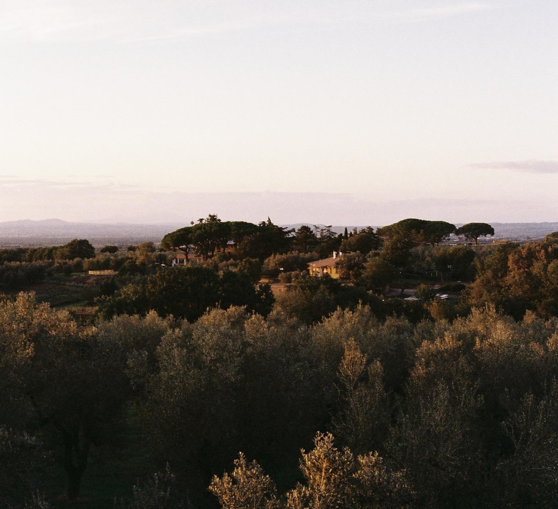 Casa YUVI farmhouse seen across the olive groves in soft autumn light