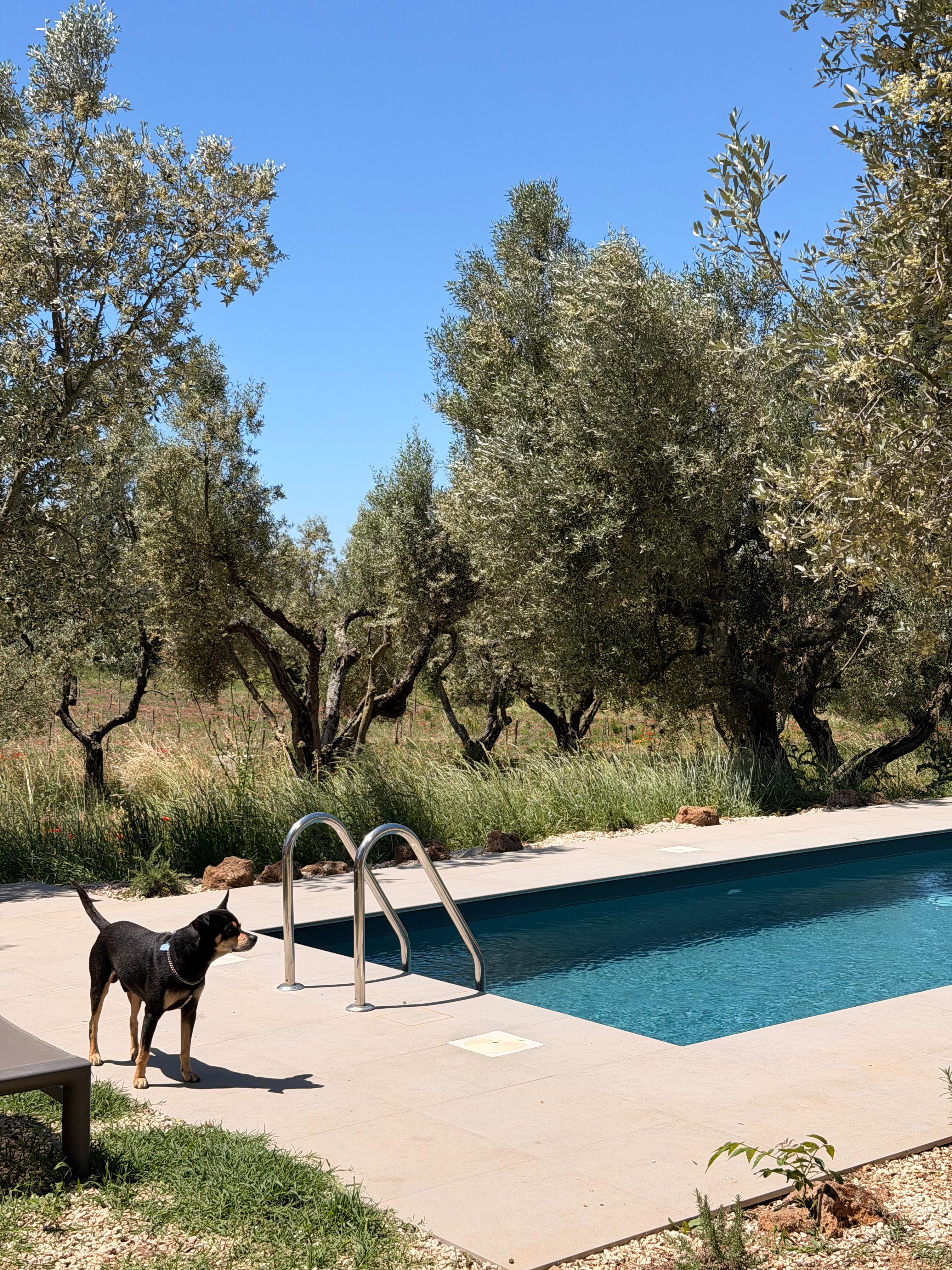 Piscina di Casa YUVI con vista sulla campagna