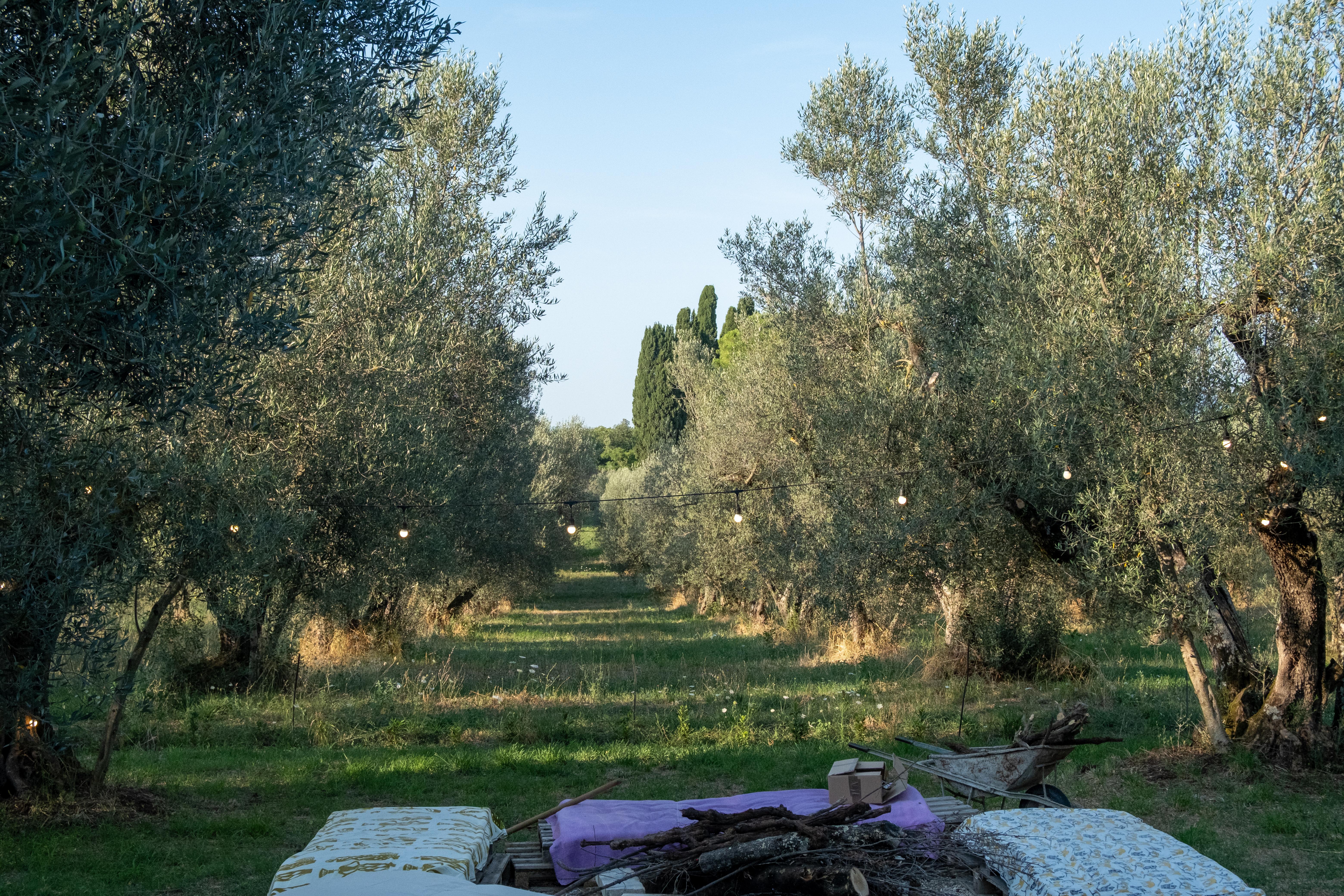 Area pranzo all'aperto a Casa YUVI