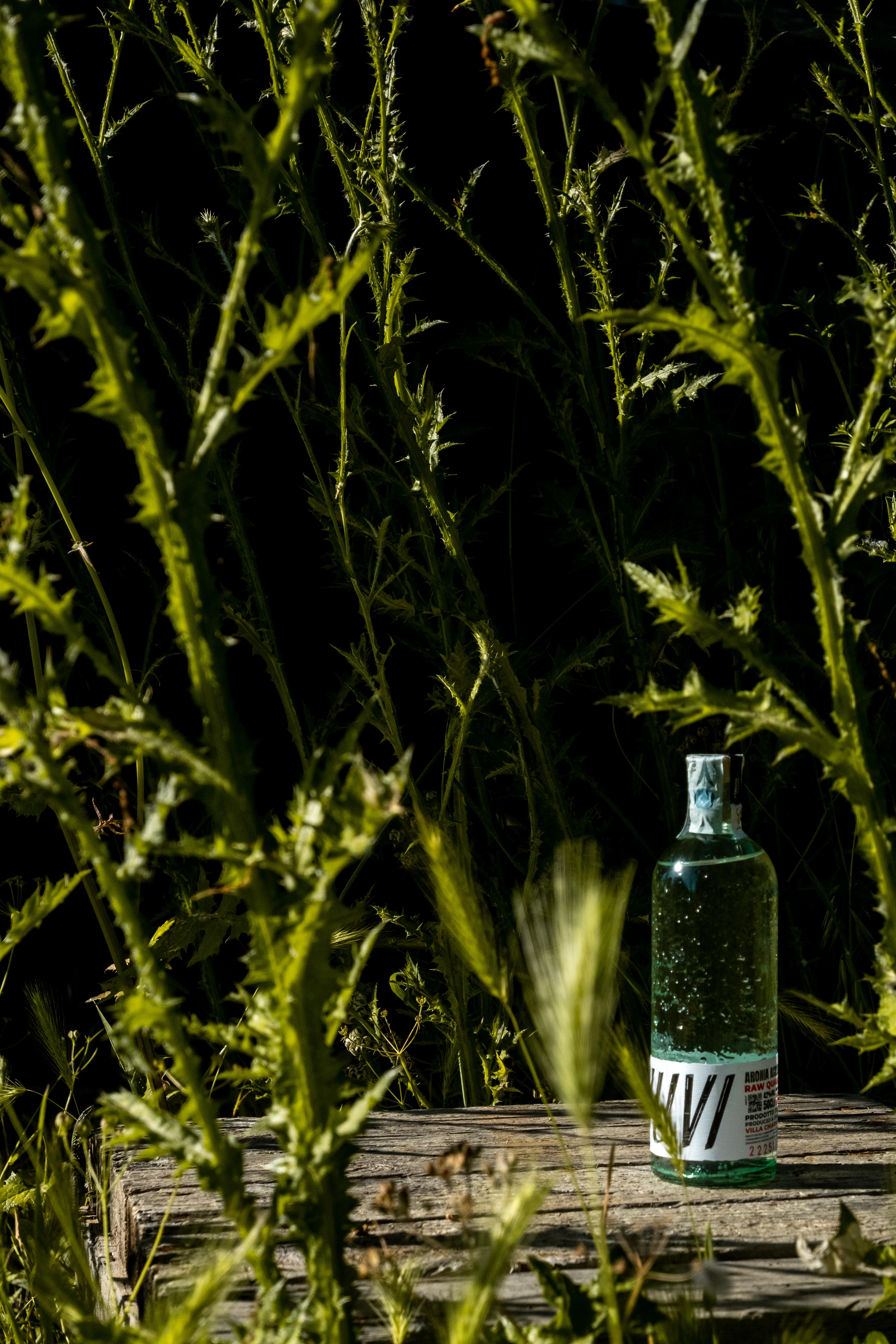 Aronia Acquavite