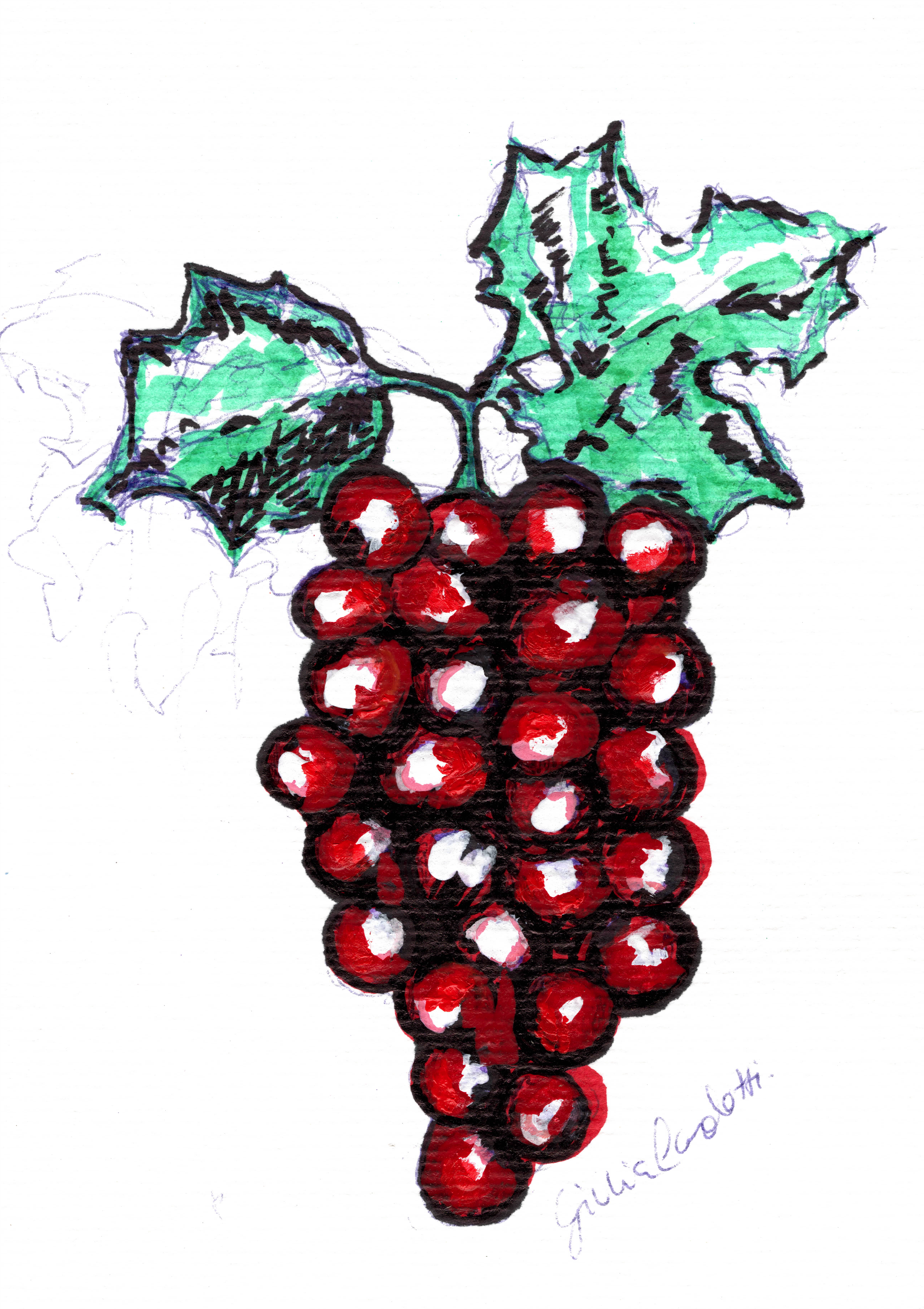 A bottle of Casa YUVI's grape brandy